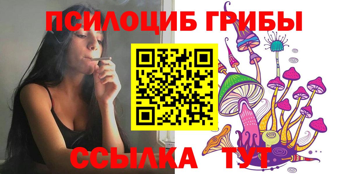 Псилоцибиновые грибы мицелий  Вход с VPN  Галлюциногенные грибы Cubensis  Советск 
